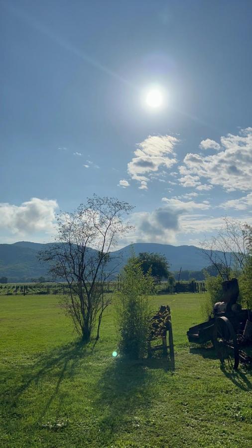Finca La Secundina Country house