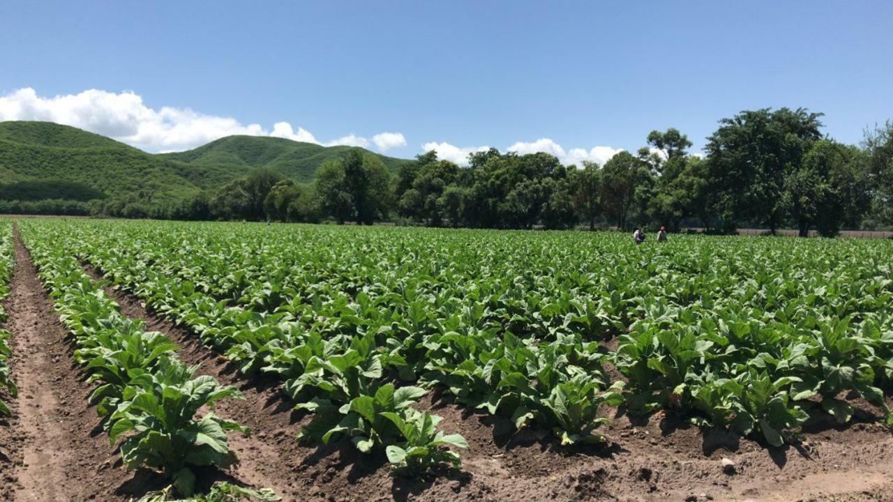 Finca La Secundina *